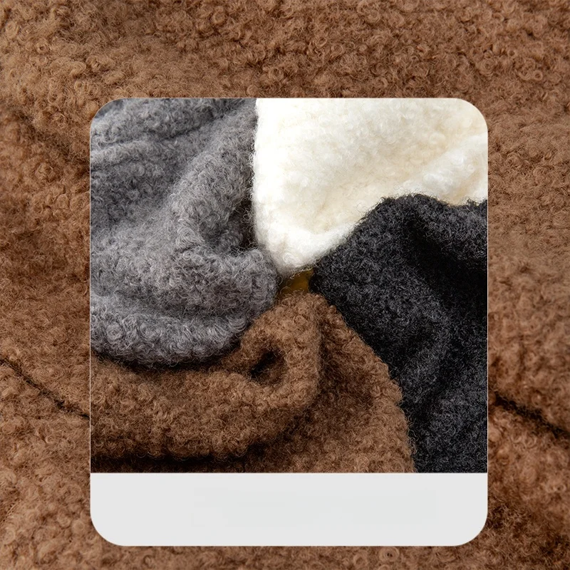 Women's Faux Lamb Fur Shorts High Waisted Outer Wear Hot Pants, Autumn Winter Warm Fleece Shorts Korean Fashion - Image 6